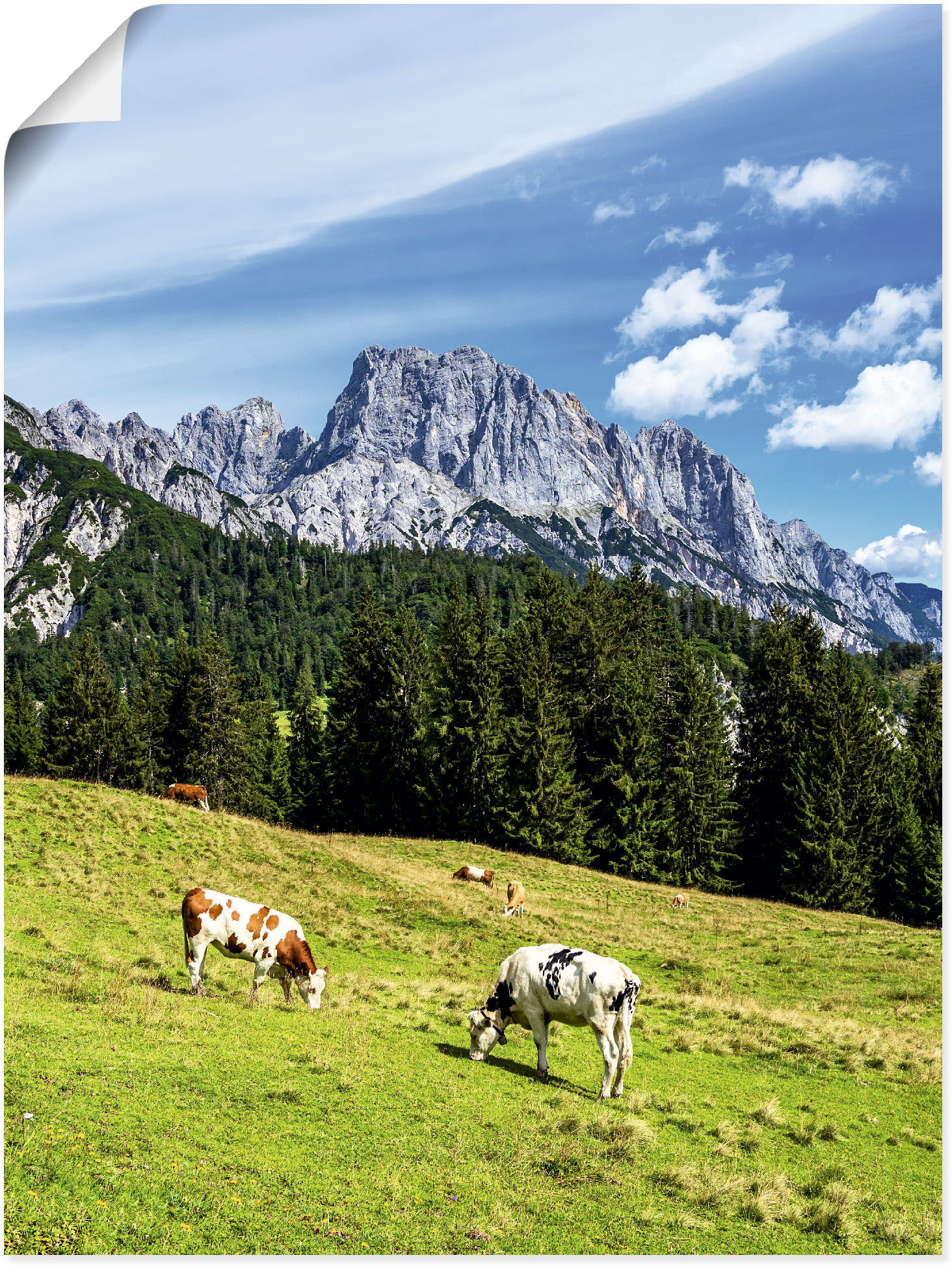 Artland Poster »Blick auf die Litzlalm mit Kühen«, Berge & Alpenbilder, (1 St.), als Alubild, Leinwandbild, Wandaufkleber oder Poster in versch. Grössen von Artland