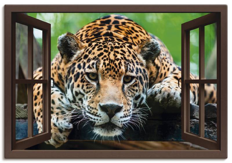 Artland Poster »Fensterblick - Südamerikanischer Jaguar«, Wildtiere, (1 St.), als Alubild, Leinwandbild, Wandaufkleber oder Poster in versch. Grössen von Artland