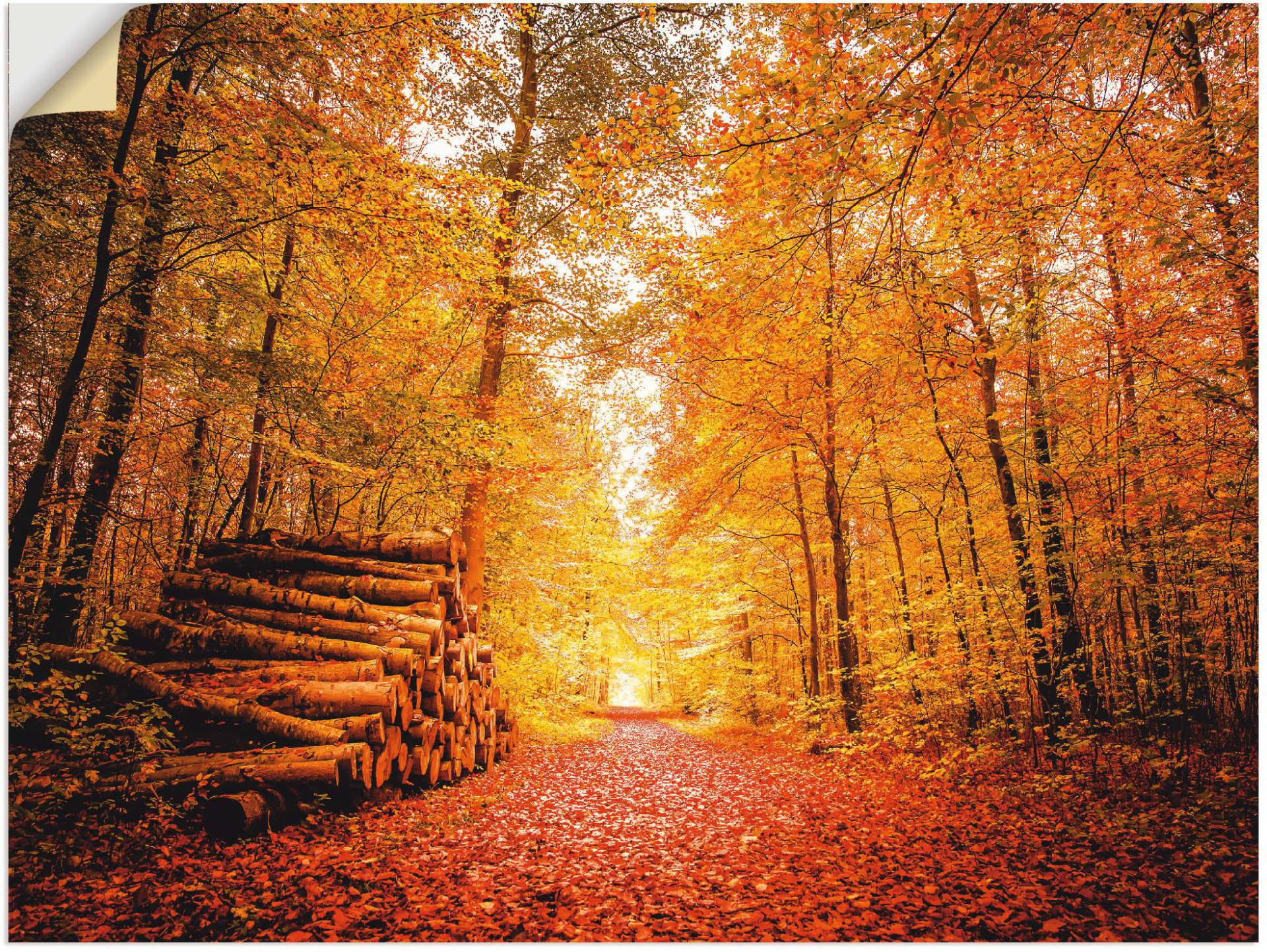 Artland Poster »Herbstlandschaft«, Vier Jahreszeiten, (1 St.), als Alubild, Leinwandbild, Wandaufkleber oder Poster in versch. Grössen von Artland