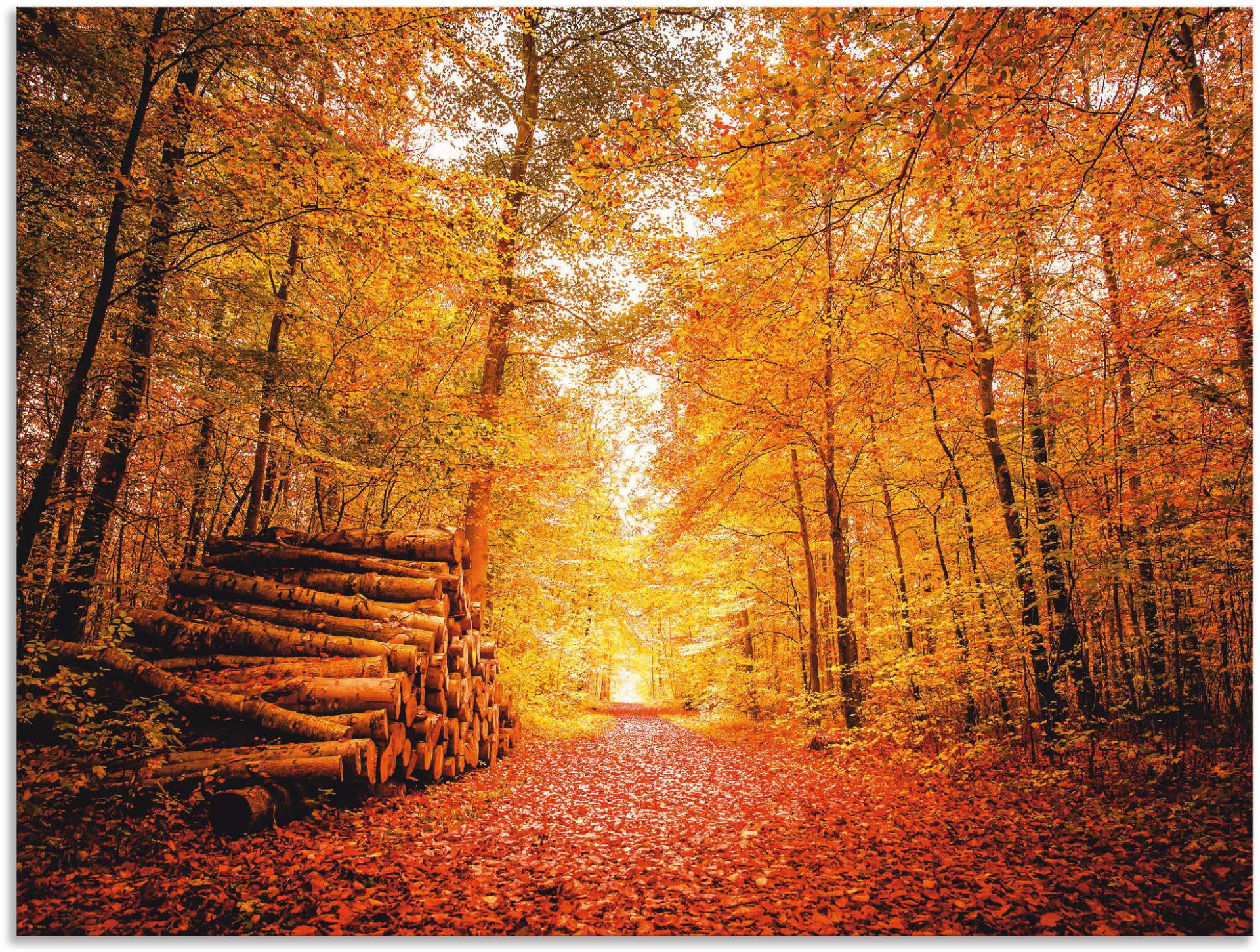 Artland Poster »Herbstlandschaft«, Vier Jahreszeiten, (1 St.), als Alubild, Leinwandbild, Wandaufkleber oder Poster in versch. Grössen von Artland