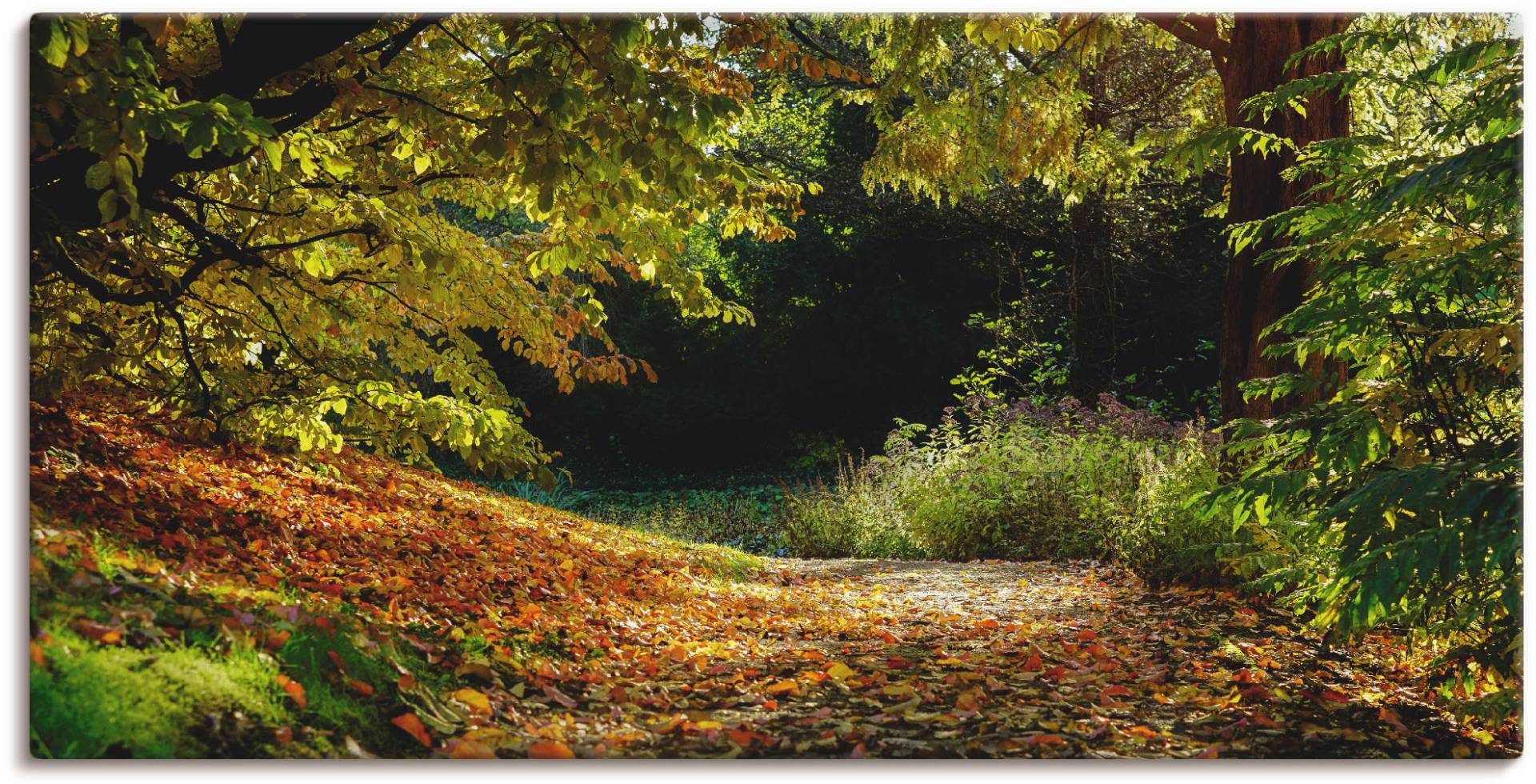 Artland Poster »Herbstteppich«, Wald, (1 St.), als Leinwandbild, Wandaufkleber oder Poster in versch. Grössen von Artland