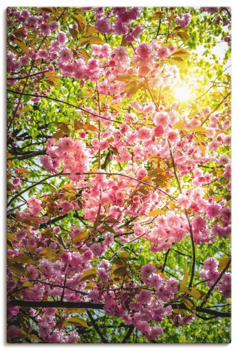 Artland Poster »Japanische Kirschblüte«, Vier Jahreszeiten, (1 St.), als Alubild, Leinwandbild, Wandaufkleber oder Poster in versch. Grössen von Artland