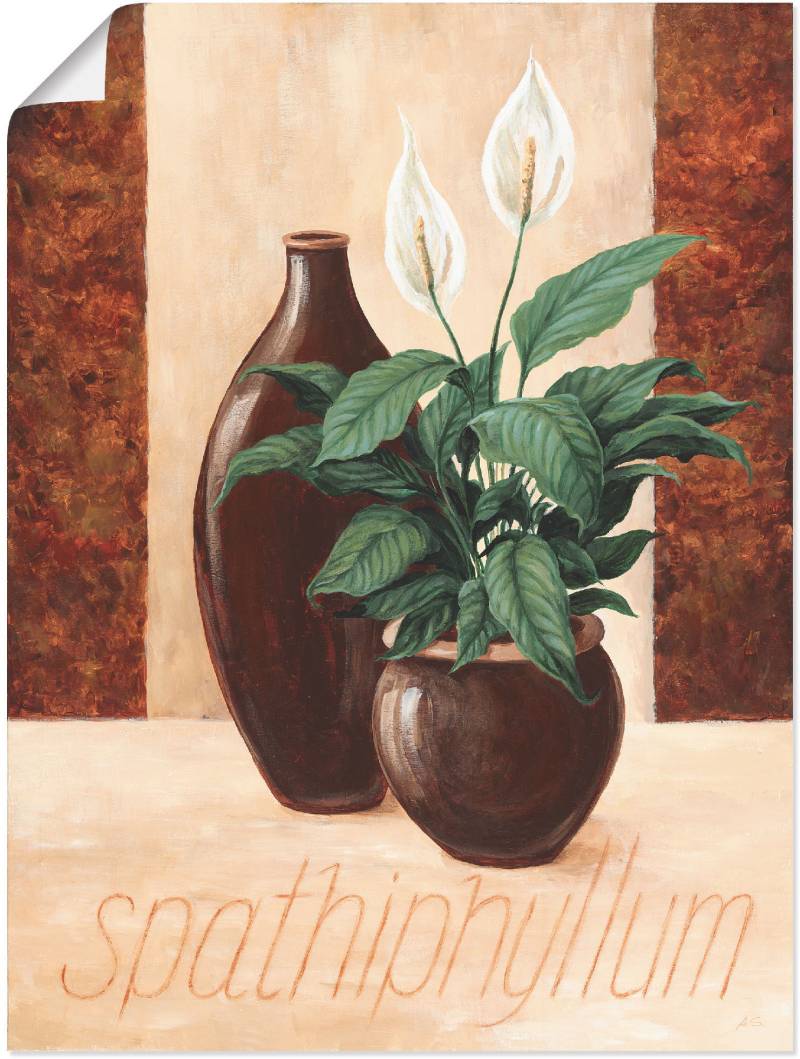 Artland Poster »Spathiphyllum - Einblatt«, Pflanzenbilder, (1 St.), als Alubild, Leinwandbild, Wandaufkleber oder Poster in versch. Grössen von Artland