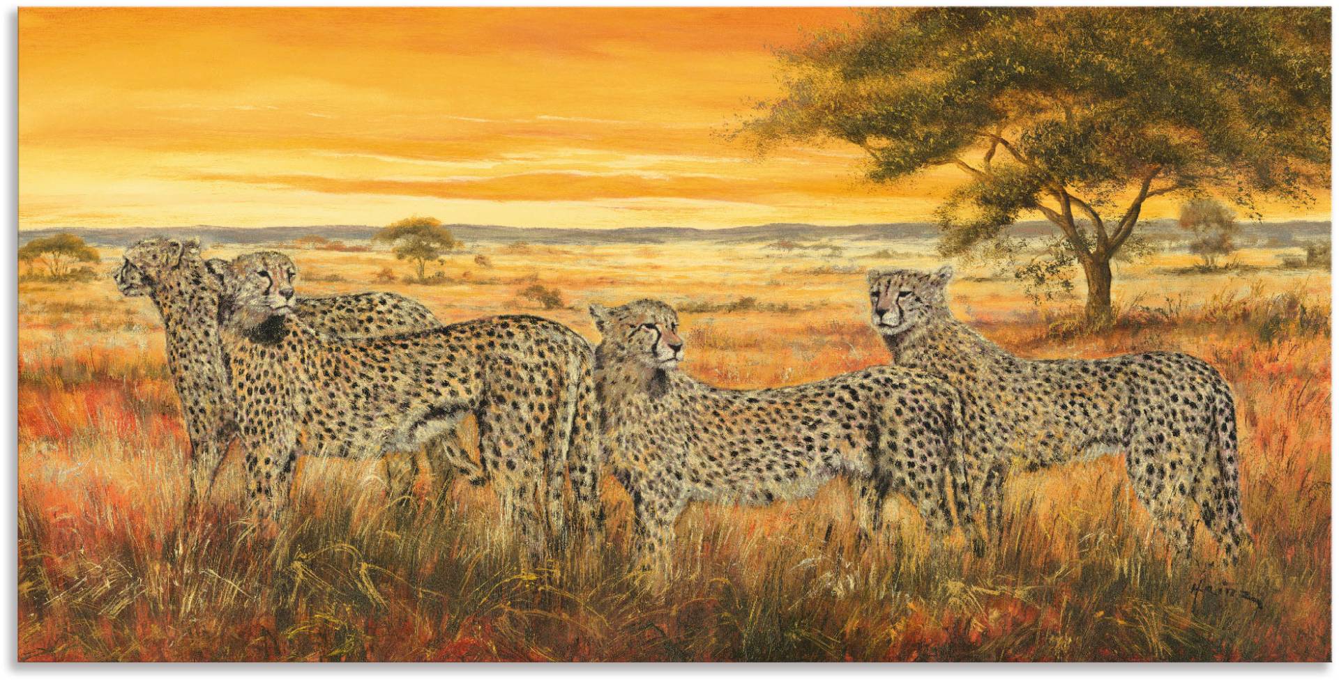 Artland Wandbild »4 Geparden«, Wildtiere, (1 St.), als Leinwandbild, Wandaufkleber in verschied. Grössen von Artland