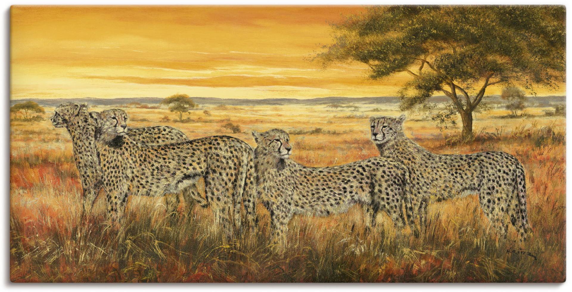 Artland Wandbild »4 Geparden«, Wildtiere, (1 St.), als Leinwandbild, Wandaufkleber in verschied. Grössen von Artland