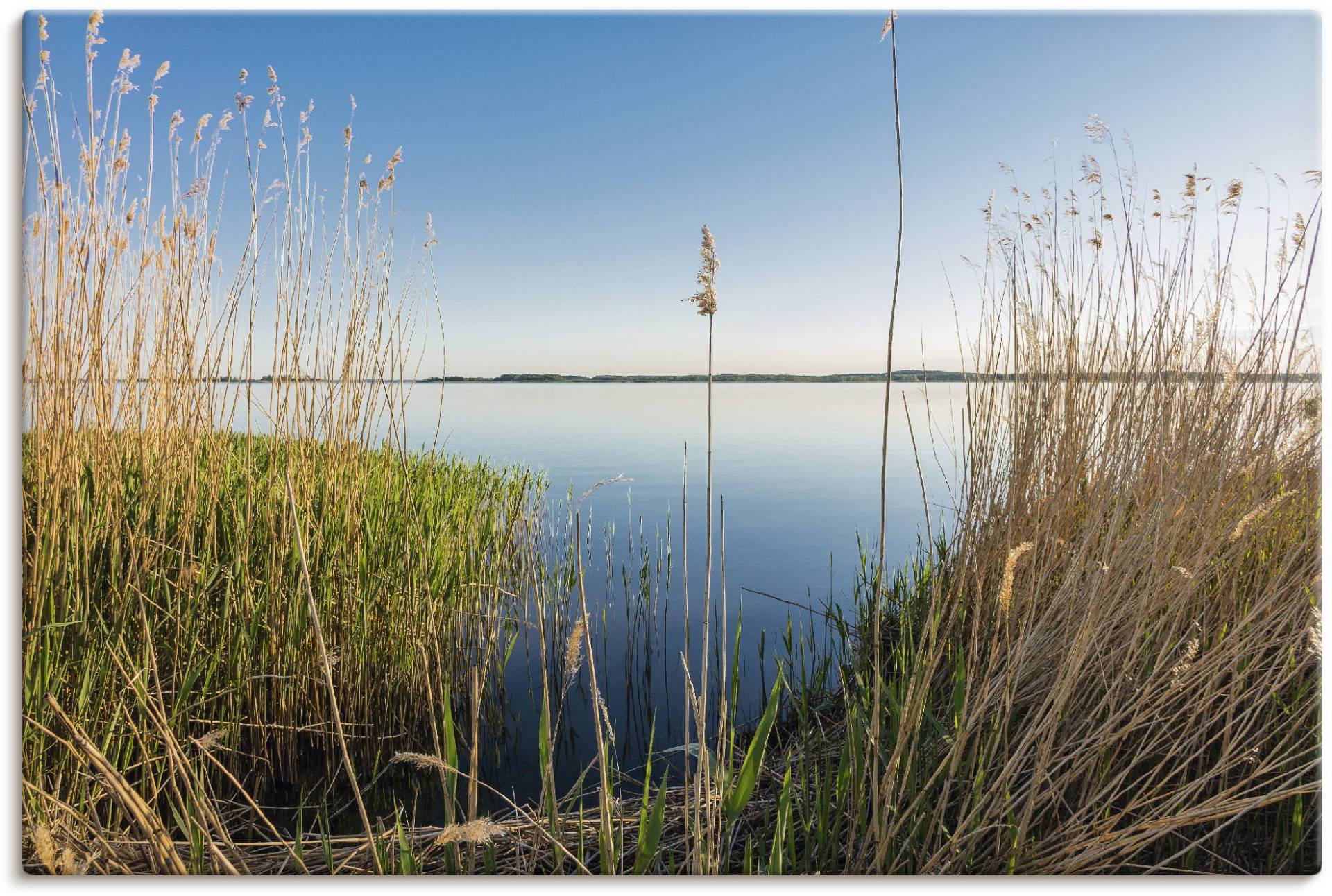 Artland Wandbild »Achterwasser Insel Usedom«, Küste, (1 St.), als Alubild, Leinwandbild, Wandaufkleber oder Poster in versch. Grössen von Artland