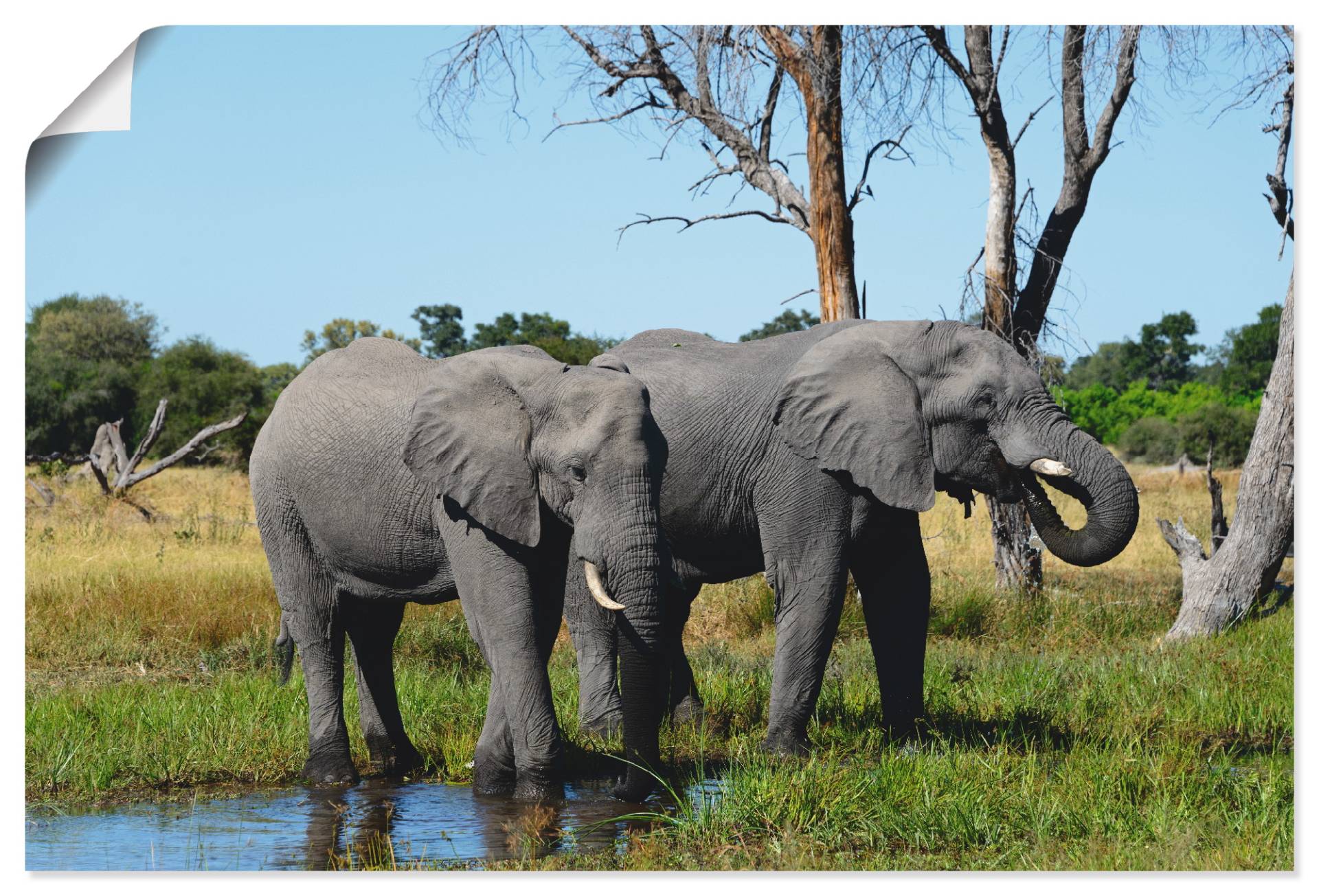 Artland Wandbild »Afrikanische Elefanten«, Wildtiere, (1 St.), als Leinwandbild, Poster in verschied. Grössen von Artland