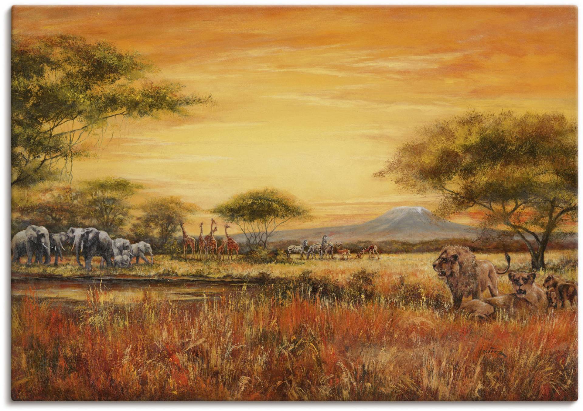 Artland Wandbild »Afrikanische Steppe mit Löwen«, Afrika, (1 St.), als Alubild, Outdoorbild, Leinwandbild, Poster, Wandaufkleber von Artland