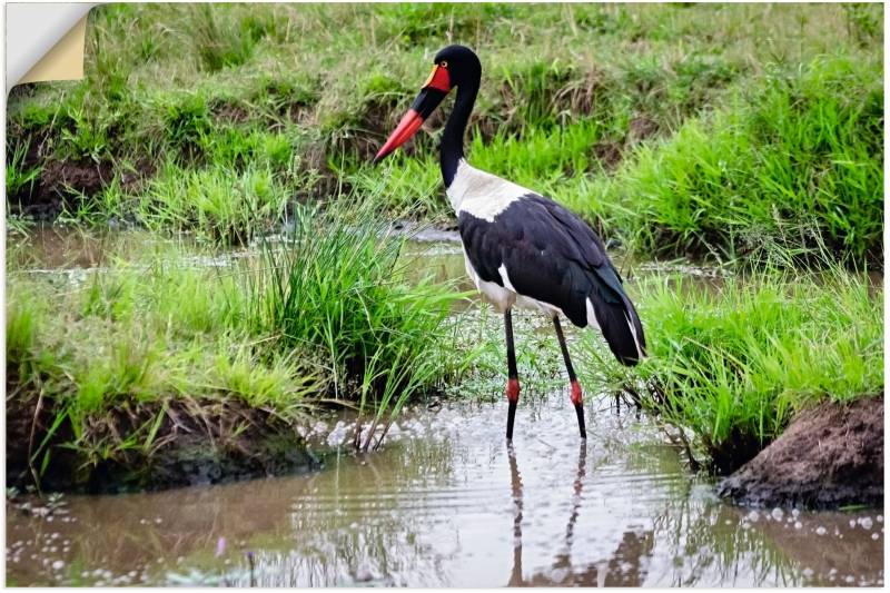 Artland Wandbild »Afrikanischer Sattelstorch«, Vogelbilder, (1 St.), als Alubild, Leinwandbild, Wandaufkleber oder Poster in versch. Grössen von Artland