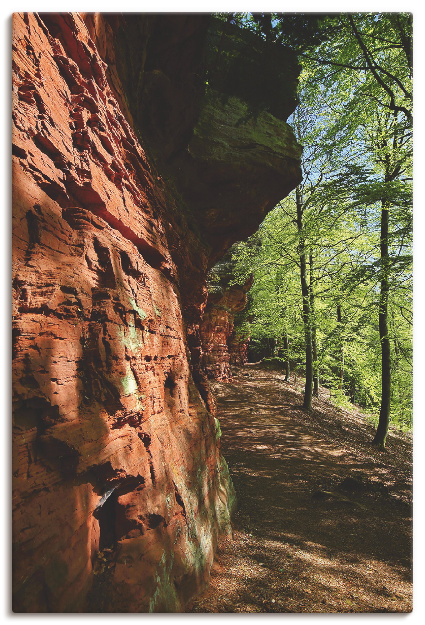 Artland Wandbild »Altschlossfelsen I«, Felsen, (1 St.), als Alubild, Leinwandbild, Wandaufkleber oder Poster in versch. Grössen von Artland