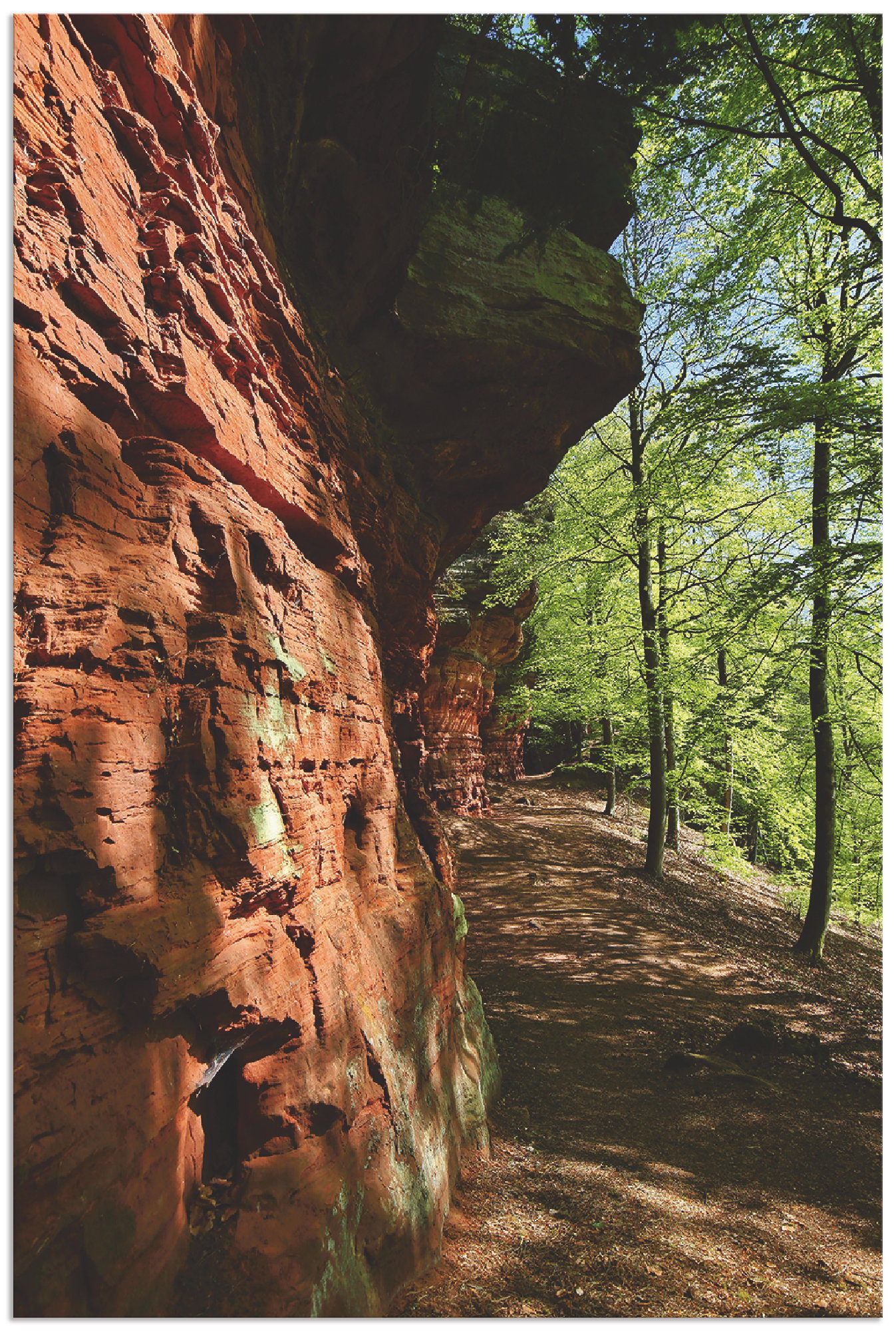 Artland Wandbild »Altschlossfelsen I«, Felsen, (1 St.), als Alubild, Leinwandbild, Wandaufkleber oder Poster in versch. Grössen von Artland