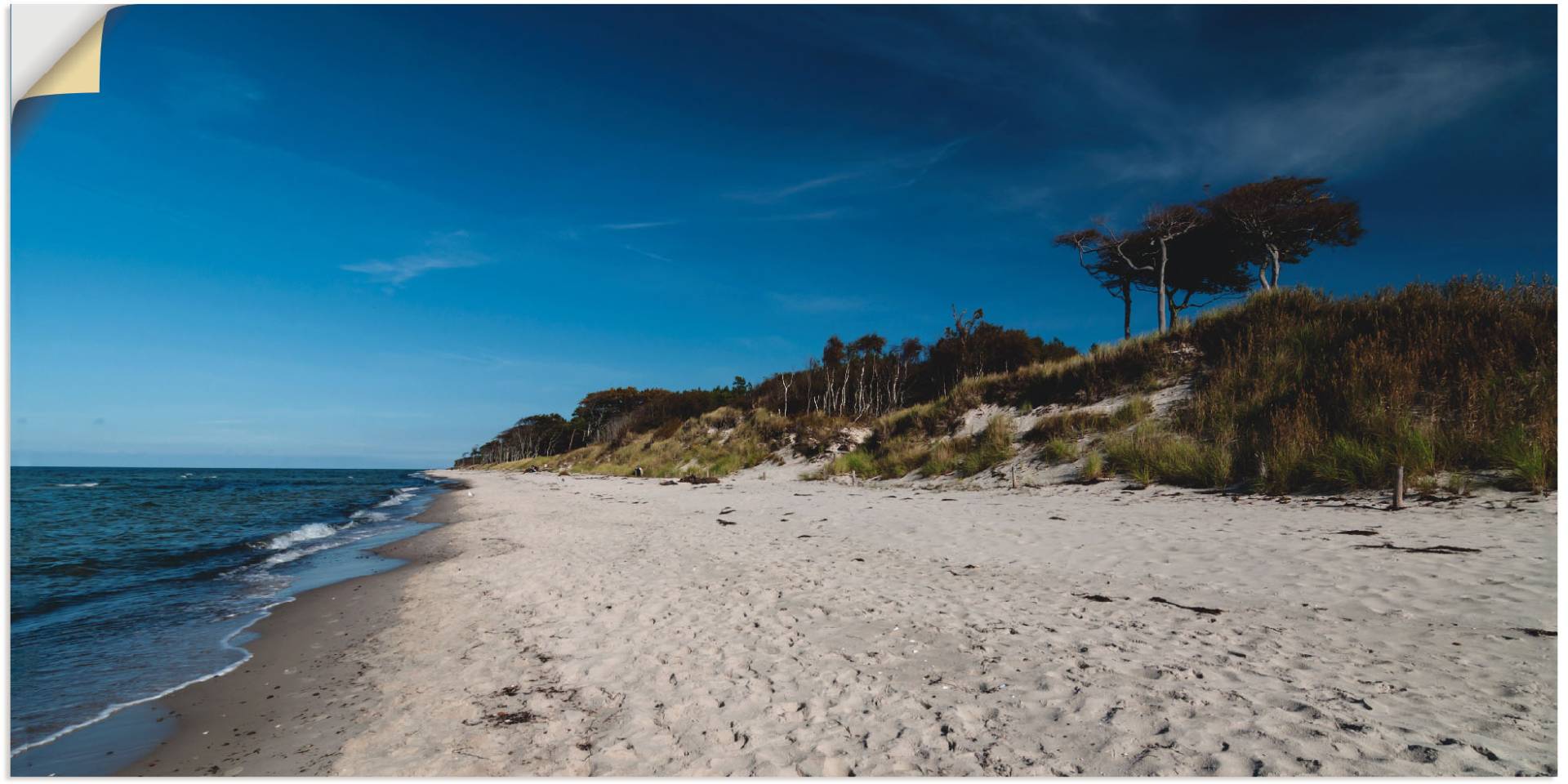 Artland Wandbild »Am Weststrand- Ostsee - Darss«, Strand, (1 St.), als Leinwandbild in verschied. Grössen von Artland