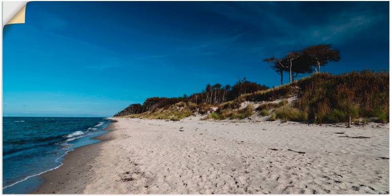 Artland Wandbild »Am Weststrand- Ostsee - Darss«, Strand, (1 St.), als Leinwandbild in verschied. Grössen von Artland