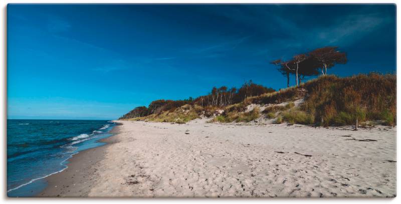 Artland Wandbild »Am Weststrand- Ostsee - Darss«, Strand, (1 St.), als Leinwandbild in verschied. Grössen von Artland