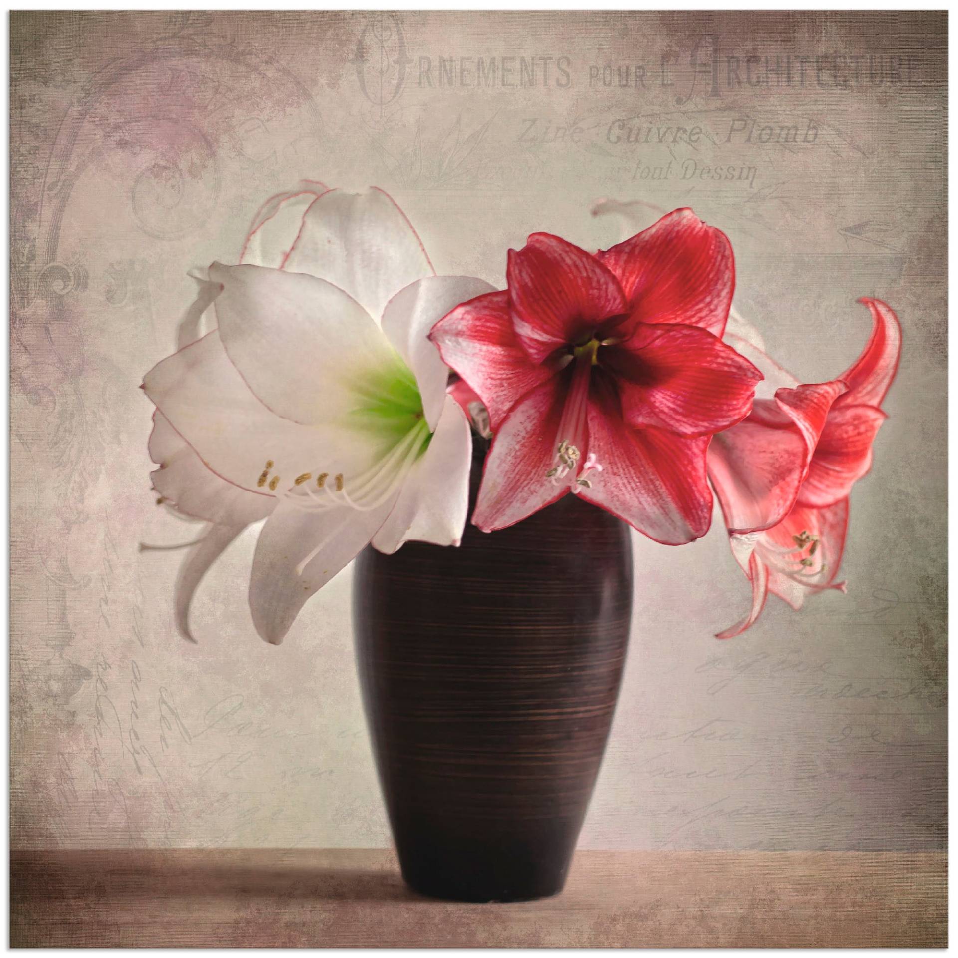 Artland Wandbild »Amaryllis Vintage I«, Blumen, (1 St.), als Alubild, Outdoorbild, Leinwandbild in verschied. Grössen von Artland