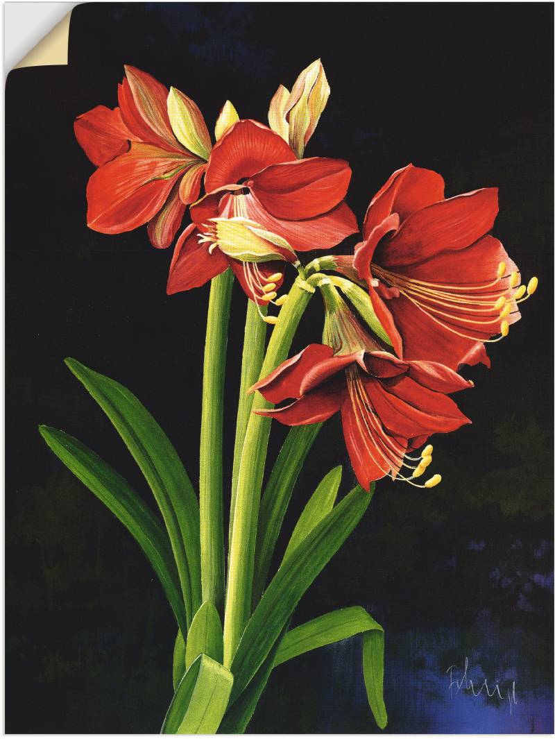 Artland Wandfolie »Amaryllis«, Blumen, (1 St.), selbstklebend von Artland