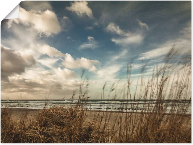 Artland Wandbild »An der Küste der Ostsee«, Gewässer, (1 St.), als Leinwandbild, Poster in verschied. Grössen von Artland