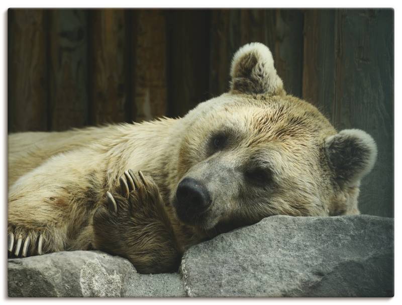 Artland Wandbild »Bär I«, Wildtiere, (1 St.), als Leinwandbild, Wandaufkleber oder Poster in versch. Grössen von Artland