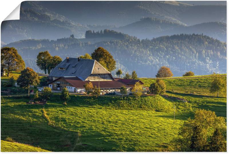 Artland Wandbild »Bauernhof bei St.Peter Schwarzwald«, Berge & Alpenbilder, (1 St.), als Leinwandbild, Poster in verschied. Grössen von Artland