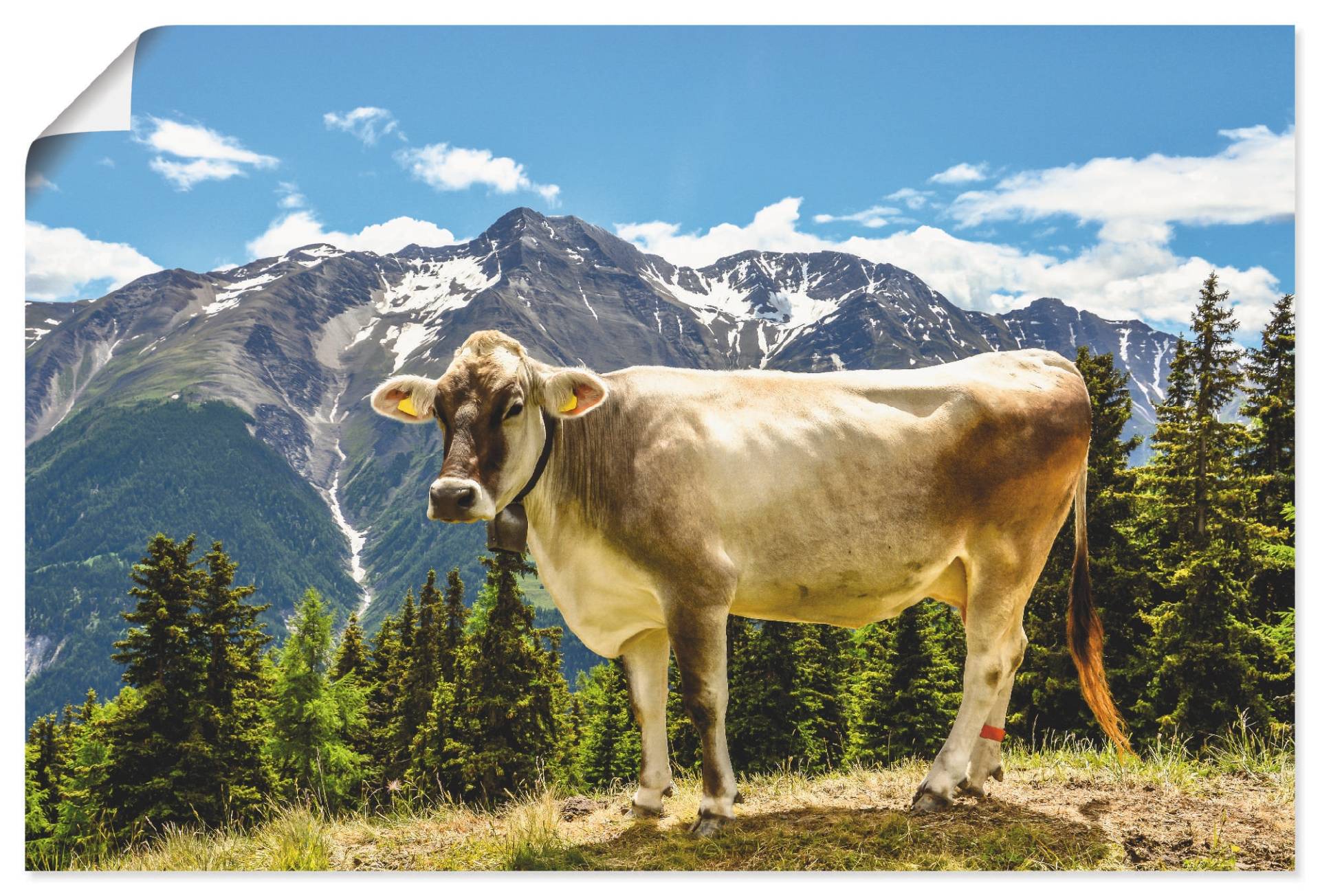 Artland Wandbild »Bergkuh in den Alpen im Sommer«, Haustiere, (1 St.), als Leinwandbild, Poster, Wandaufkleber in verschied. Grössen Artland Wandbild »Bergkuh in den Alpen im Sommer«, Haustiere, (1 St.), als Leinwandbild, Poster, Wandaufkleber in verschied. Grössen von Artland