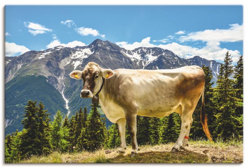 Artland Wandbild »Bergkuh in den Alpen im Sommer«, Haustiere, (1 St.), als Leinwandbild, Poster, Wandaufkleber in verschied. Grössen von Artland