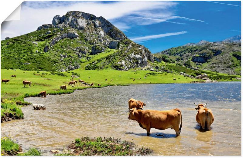 Artland Wandbild »Bergwelt in Asturien - Kühe im See«, Berge & Alpenbilder, (1 St.), als Alubild, Leinwandbild, Wandaufkleber oder Poster in versch. Grössen von Artland