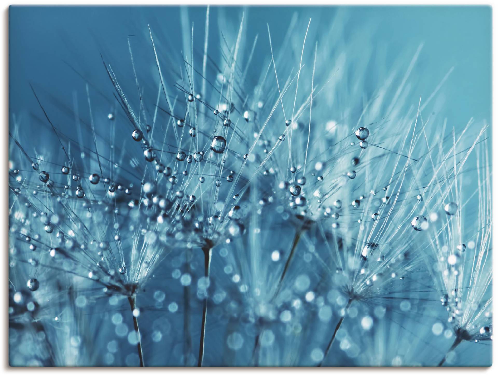 Artland Wandbild »Blaue glitzernde Pusteblume«, Blumen, (1 St.), als Leinwandbild, Poster in verschied. Grössen von Artland