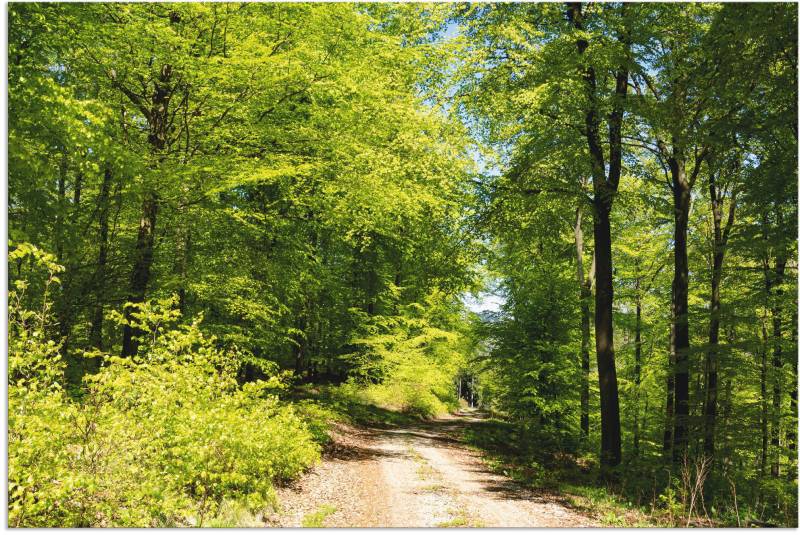 Artland Wandbild »Blauer Himmel über dem Wald im Mai«, Wald, (1 St.), als Leinwandbild, Poster in verschied. Grössen von Artland