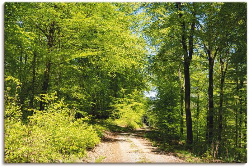 Artland Wandbild »Blauer Himmel über dem Wald im Mai«, Wald, (1 St.), als Leinwandbild, Poster in verschied. Grössen von Artland