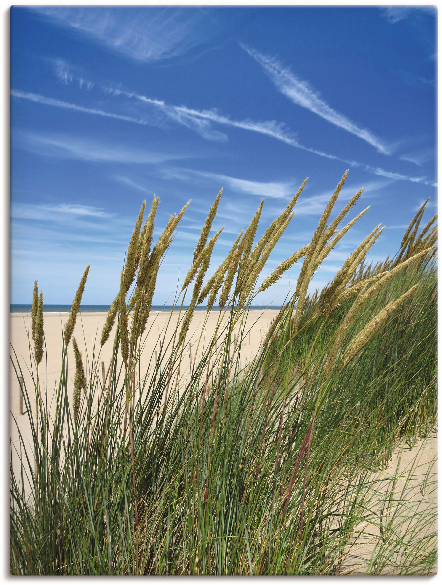 Artland Wandbild »Blühendes Strandgras«, Strand, (1 St.), als Leinwandbild, Wandaufkleber in verschied. Grössen von Artland