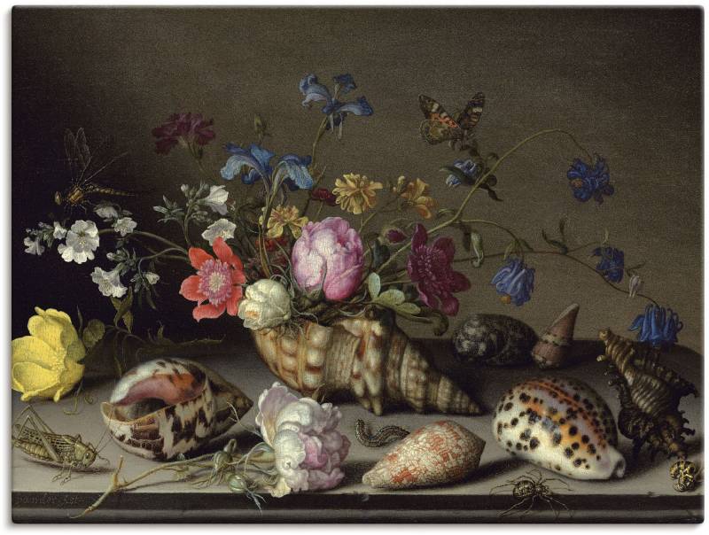 Artland Leinwandbild »Blumen, Muscheln und Insekten«, Arrangements, (1 St.), auf Keilrahmen gespannt von Artland