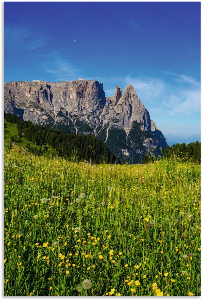 Artland Wandbild »Blumenwiese auf der Seiser Alm Südtirol«, Berge & Alpenbilder, (1 St.), als Alubild, Leinwandbild, Wandaufkleber oder Poster in versch. Grössen von Artland