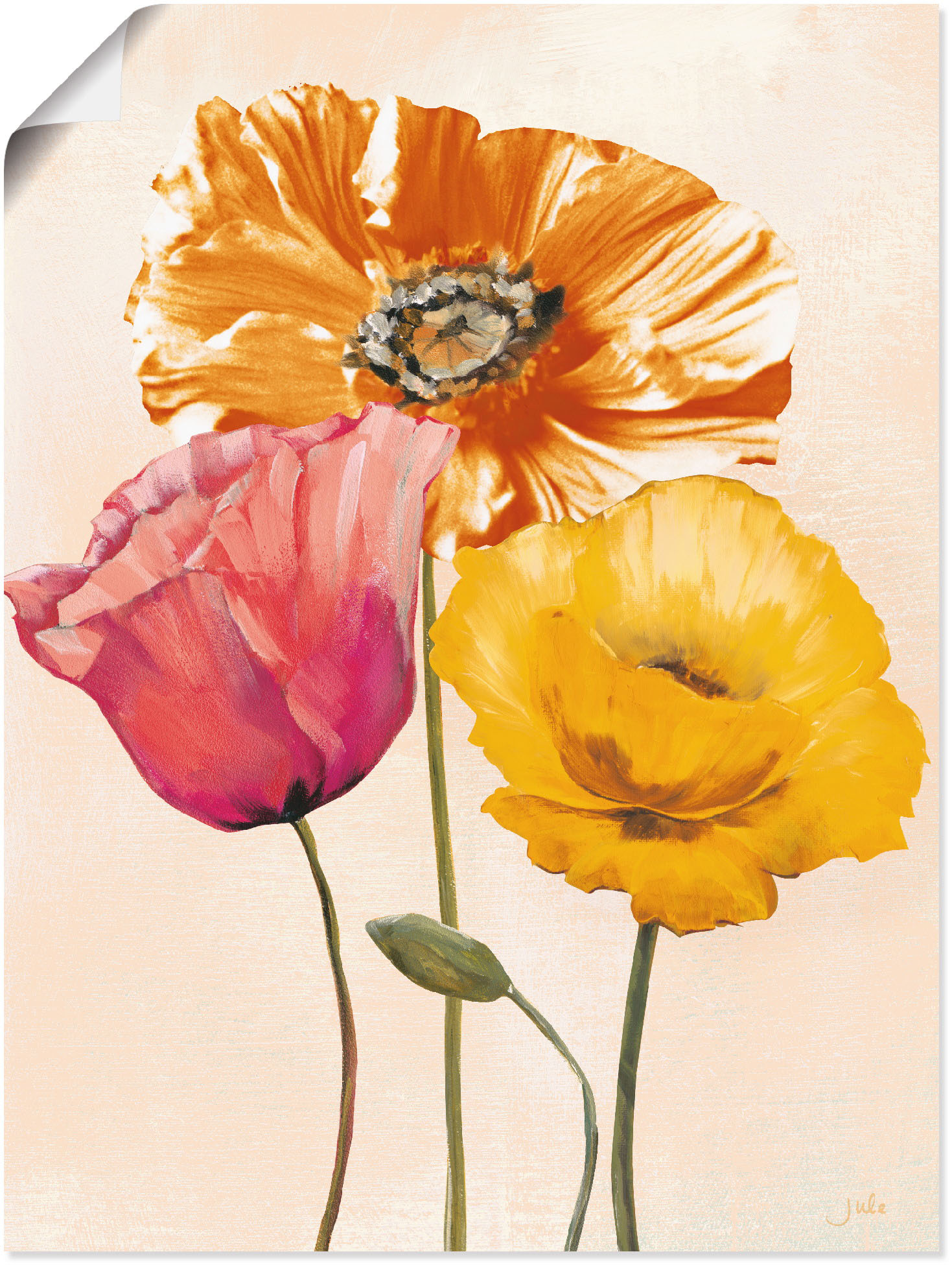 Artland Wandbild »Bunte Mohnblumen II«, Blumenbilder, (1 St.), als Leinwandbild, Poster, Wandaufkleber in verschied. Grössen von Artland