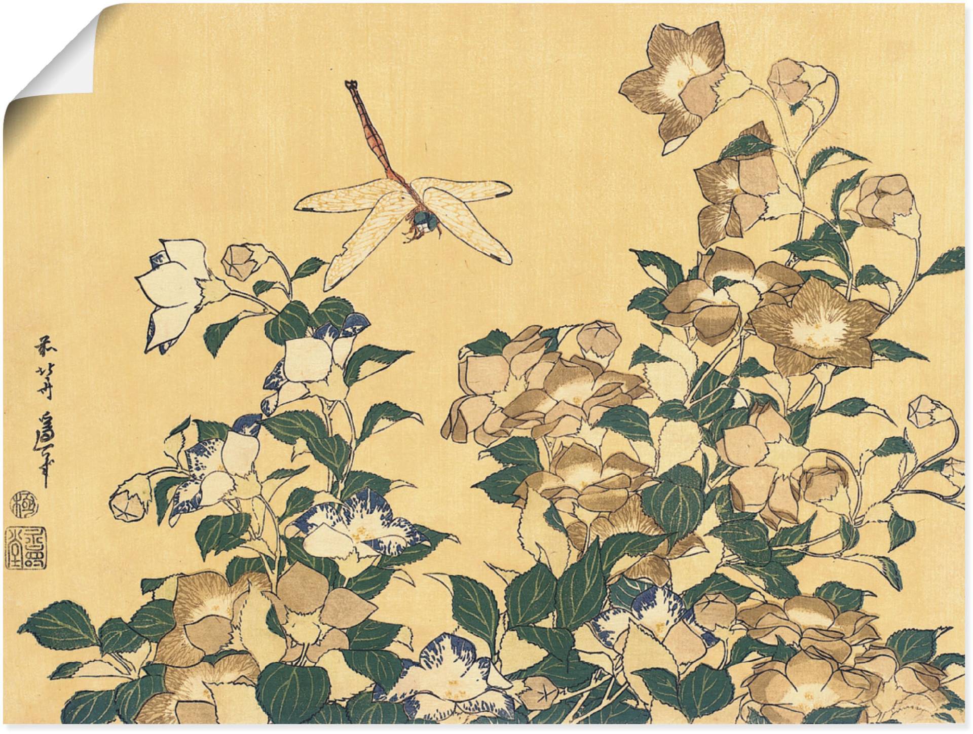 Artland Wandbild »Chinesische Glockenblume und Libelle«, Blumen, (1 St.), als Leinwandbild, Poster in verschied. Grössen Artland Wandbild »Chinesische Glockenblume und Libelle«, Blumen, (1 St.), als Leinwandbild, Poster in verschied. Grössen von Artland