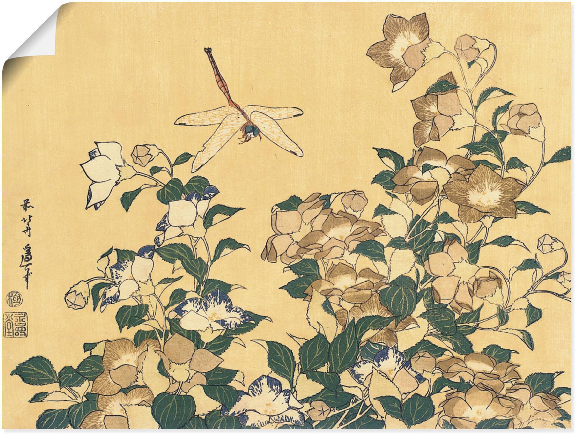 Artland Wandbild »Chinesische Glockenblume und Libelle«, Blumen, (1 St.), als Leinwandbild, Poster in verschied. Grössen von Artland