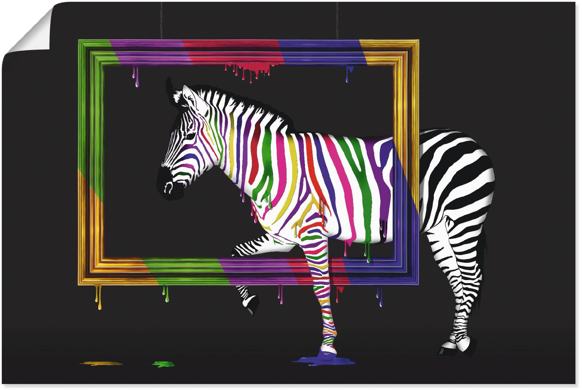 Artland Wandbild »Das Regenbogen Zebra«, Animal Fantasy, (1 St.), als Leinwandbild, Poster, Wandaufkleber in verschied. Grössen von Artland