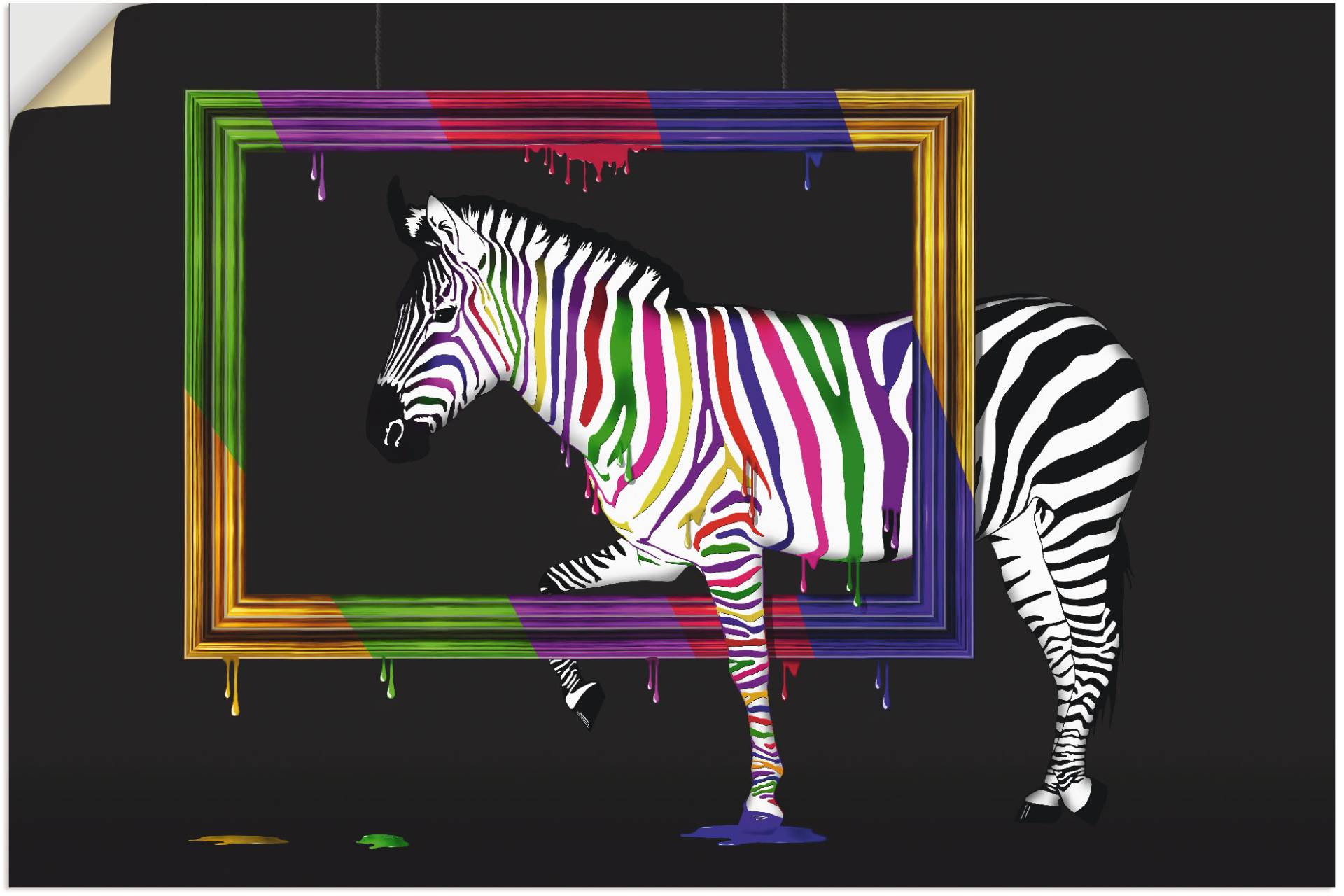 Artland Wandbild »Das Regenbogen Zebra«, Animal Fantasy, (1 St.), als Leinwandbild, Poster, Wandaufkleber in verschied. Grössen von Artland