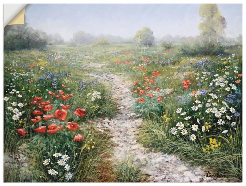 Artland Wandbild »Dichte der Natur«, Blumenwiese, (1 St.), als Leinwandbild, Poster, Wandaufkleber in verschied. Grössen von Artland