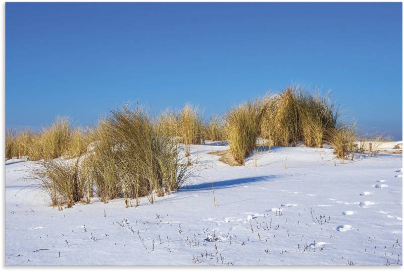 Artland Wandbild »Düne, Ostseeküste Warnemünde im Winter«, Strandbilder, (1 St.), als Alubild, Leinwandbild, Wandaufkleber oder Poster in versch. Grössen von Artland