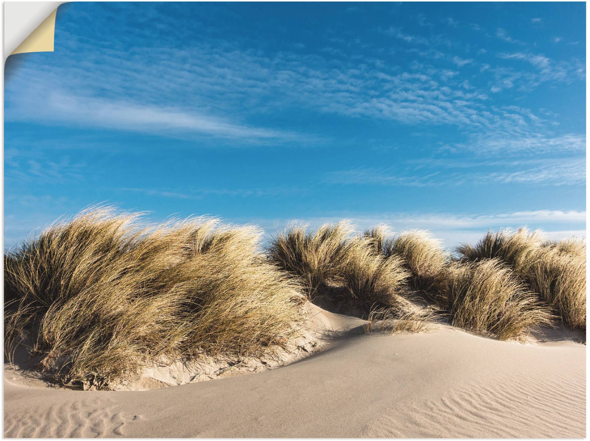 Artland Wandbild »Düne an der Küste der Ostsee«, Strand, (1 St.), als Leinwandbild, Wandaufkleber oder Poster in versch. Grössen von Artland