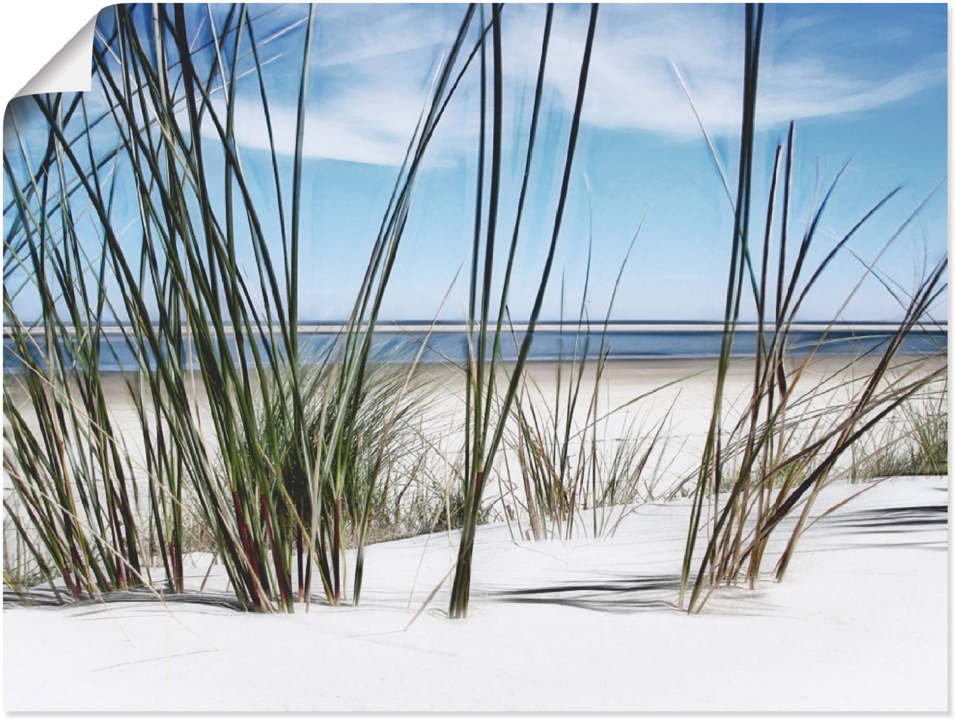 Artland Wandbild »Düne«, Strand, (1 St.), als Leinwandbild, Poster, Wandaufkleber in verschied. Grössen von Artland