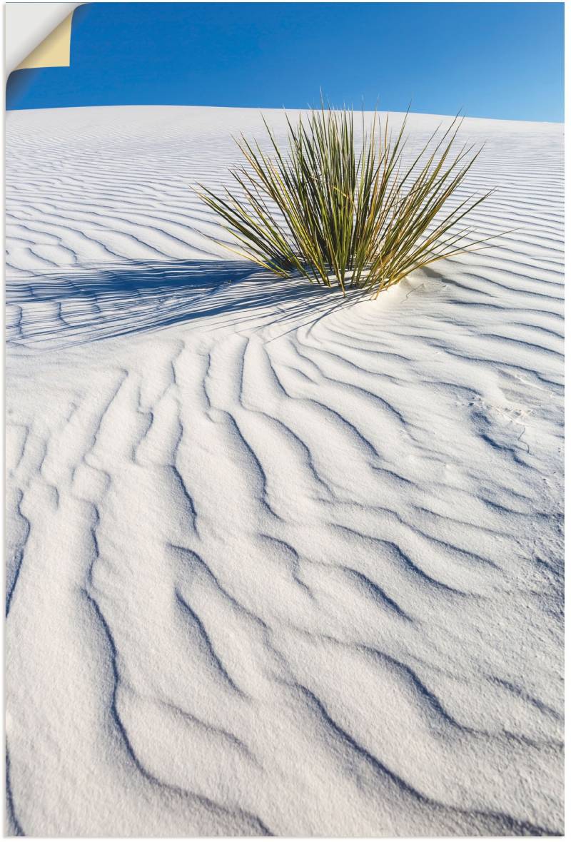 Artland Wandbild »Dünen White Sands«, Wüstenbilder, (1 St.), als Alubild, Leinwandbild, Wandaufkleber oder Poster in versch. Grössen von Artland