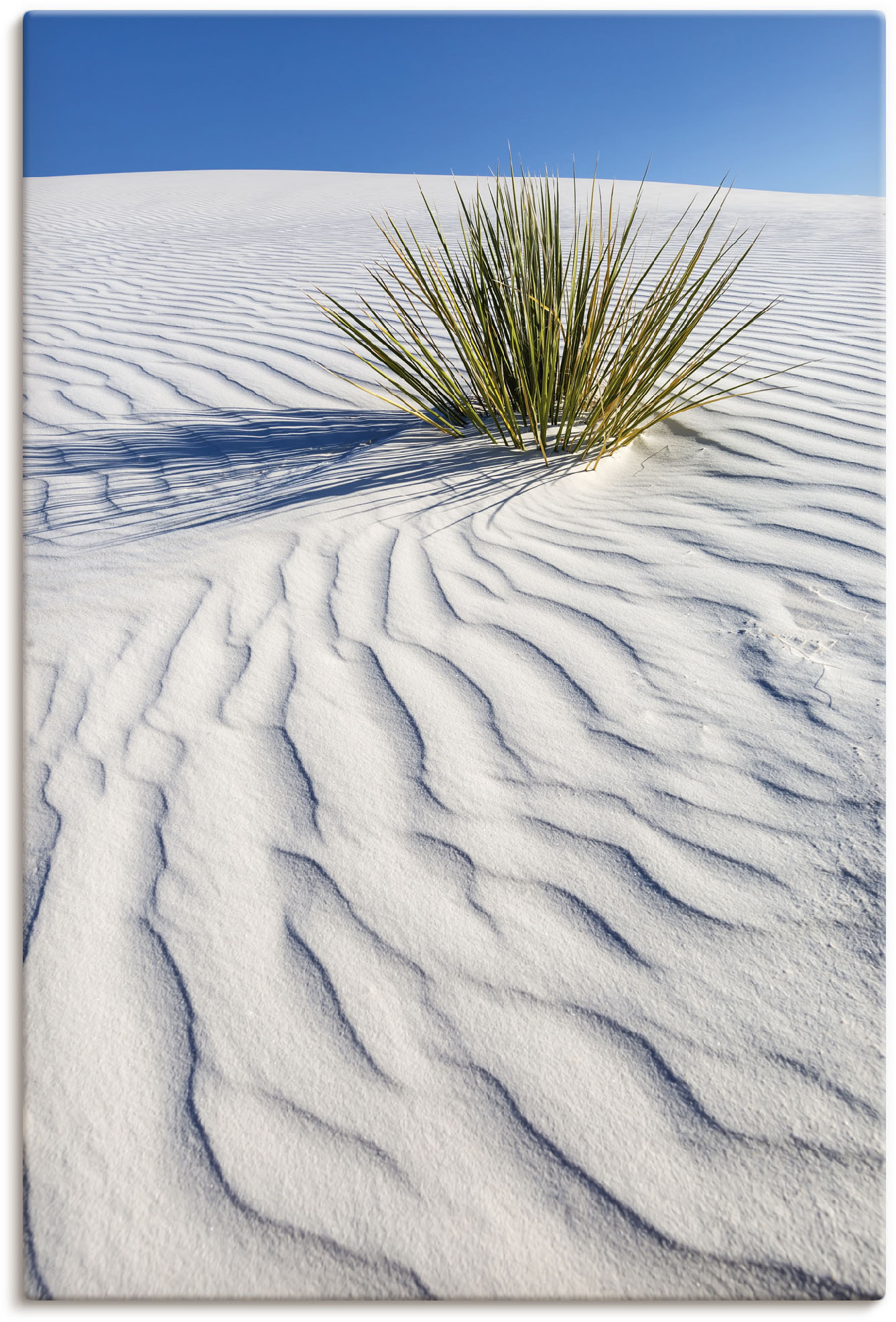 Artland Wandbild »Dünen White Sands«, Wüstenbilder, (1 St.), als Alubild, Leinwandbild, Wandaufkleber oder Poster in versch. Grössen von Artland