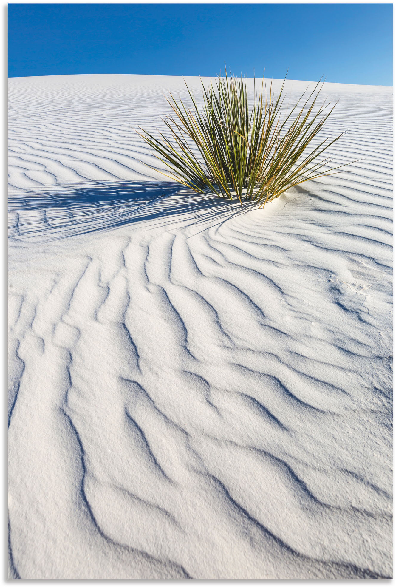 Artland Wandbild »Dünen White Sands«, Wüstenbilder, (1 St.), als Alubild, Leinwandbild, Wandaufkleber oder Poster in versch. Grössen von Artland