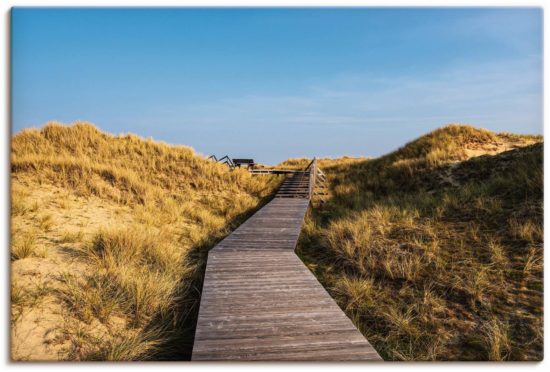 Artland Wandbild »Dünen bei Norddorf auf der Insel Amrum«, Küstenbilder, (1 St.), als Alubild, Leinwandbild, Wandaufkleber oder Poster in versch. Grössen von Artland