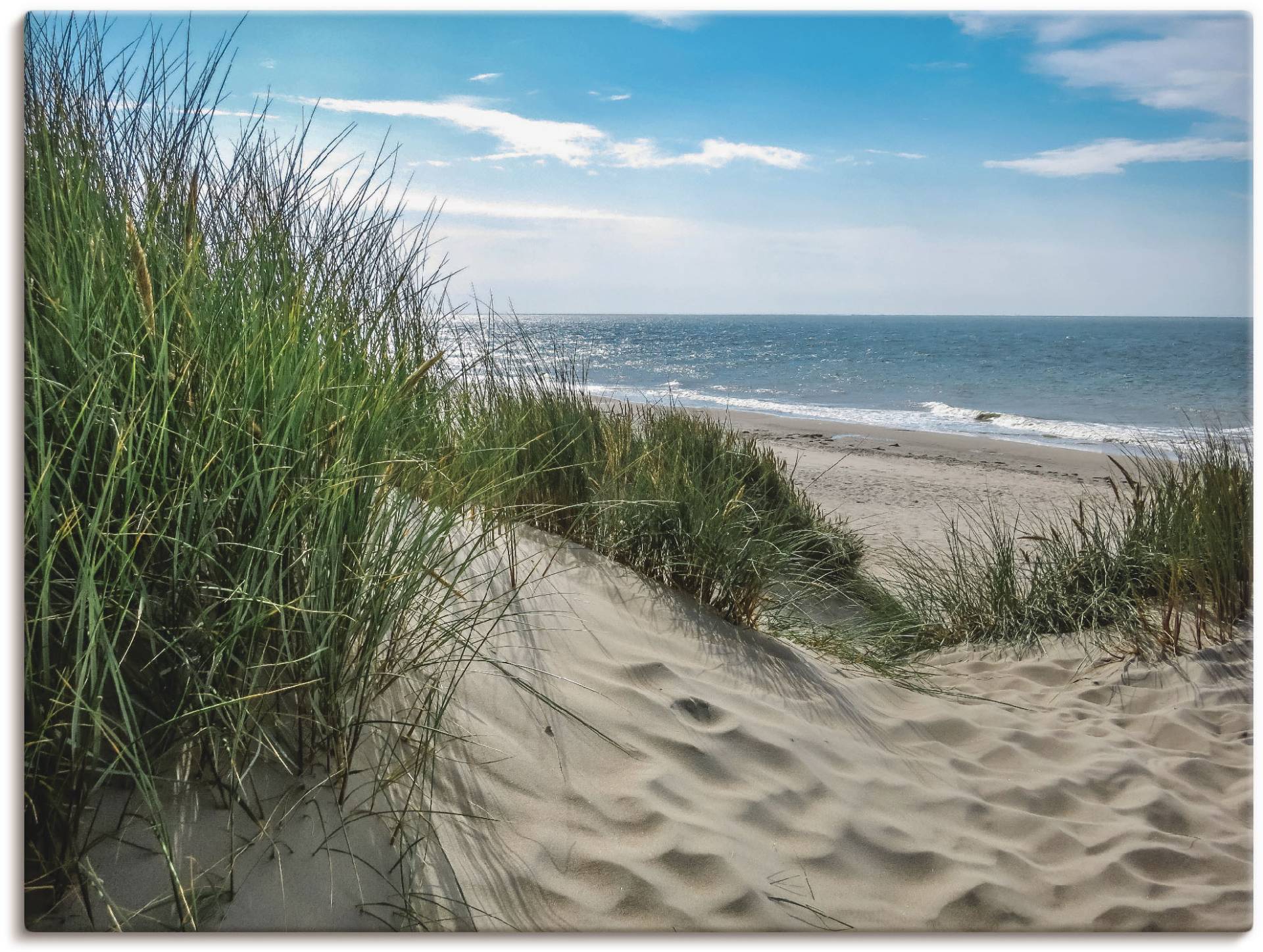 Artland Wandbild »Dünenlandschaft im Sommer an der Nordsee«, Strand, (1 St.), als Alubild, Outdoorbild, Leinwandbild, Poster, Wandaufkleber von Artland