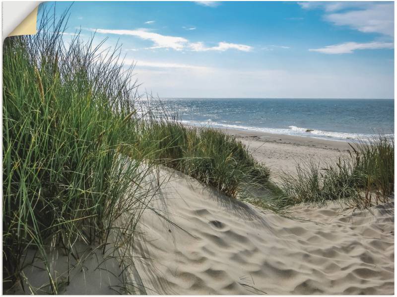 Artland Wandbild »Dünenlandschaft im Sommer an der Nordsee«, Strand, (1 St.), als Alubild, Outdoorbild, Leinwandbild, Poster, Wandaufkleber von Artland