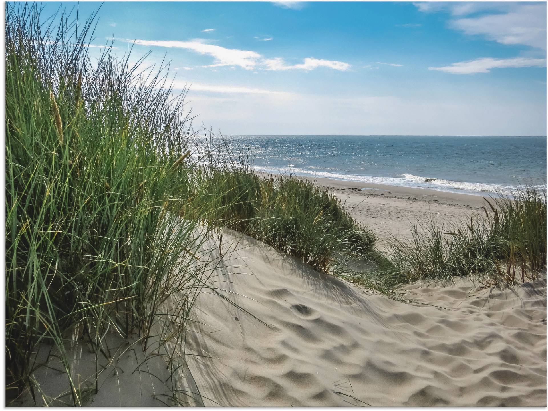 Artland Wandbild »Dünenlandschaft im Sommer an der Nordsee«, Strand, (1 St.), als Alubild, Outdoorbild, Leinwandbild, Poster, Wandaufkleber von Artland