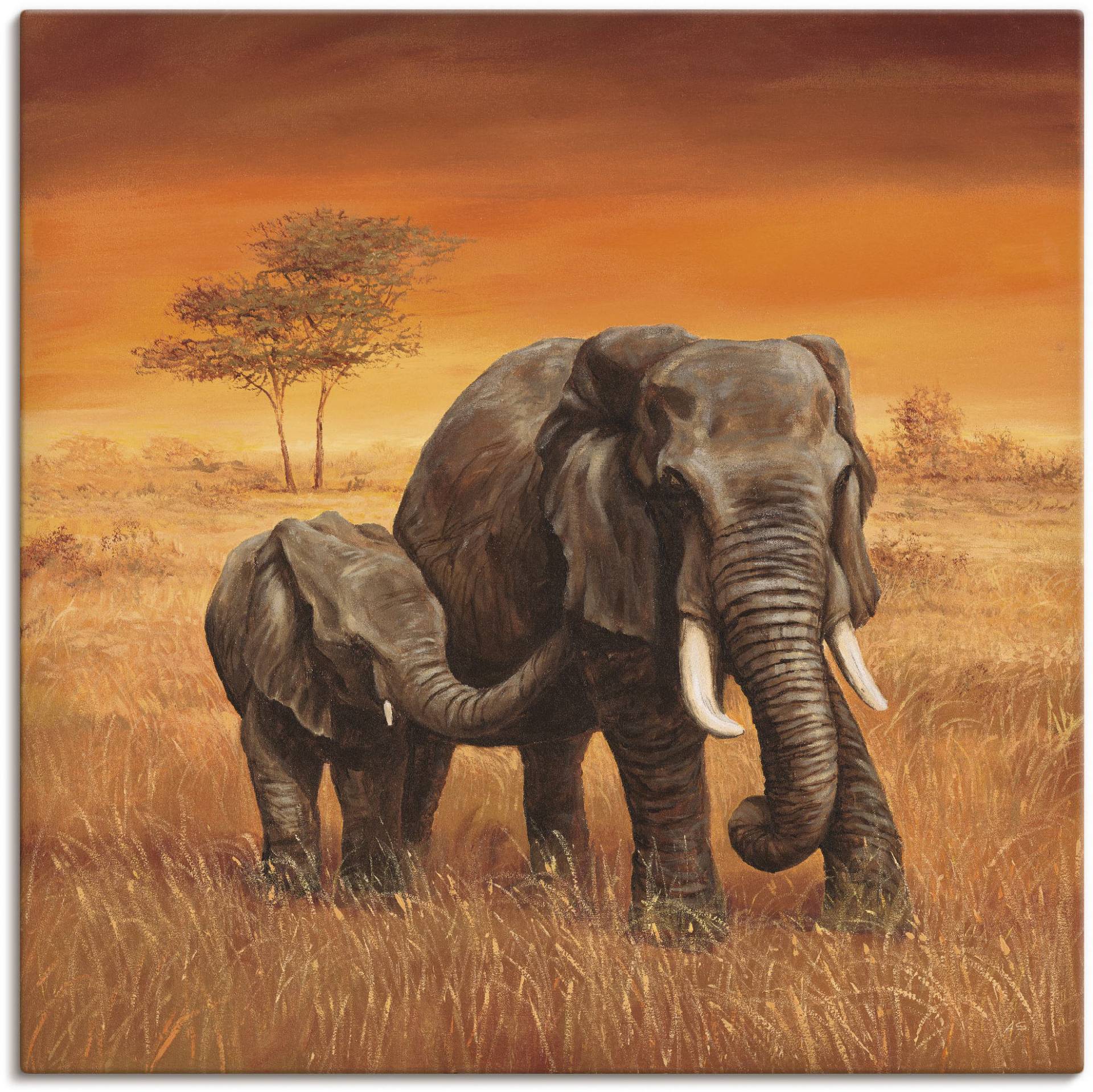 Artland Wandbild »Elefanten II«, Wildtiere, (1 St.), als Alubild, Outdoorbild, Leinwandbild, Poster, Wandaufkleber von Artland