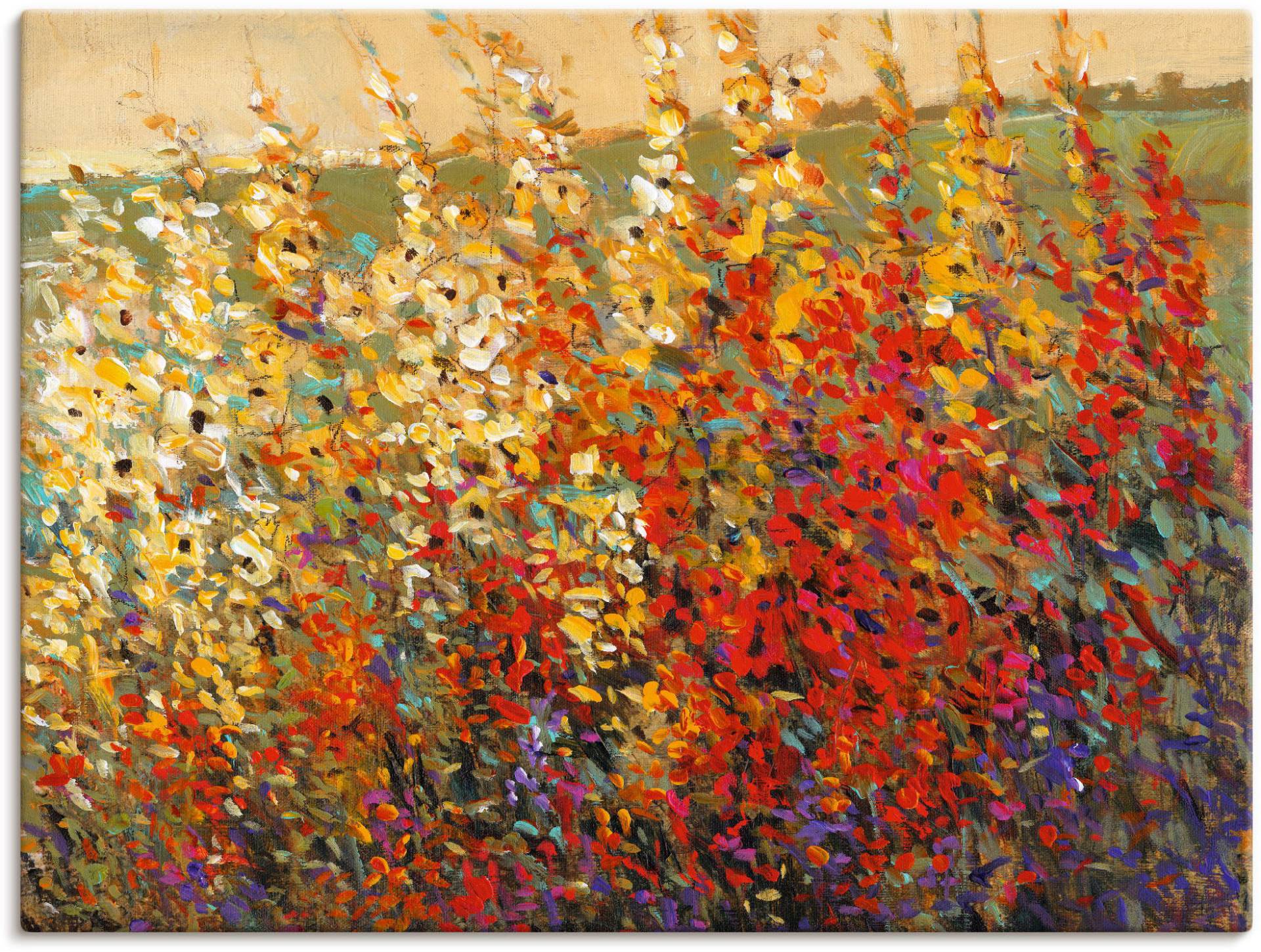 Artland Leinwandbild »Feld mit Herbstblumen I«, Blumenwiese, (1 St.), auf Keilrahmen gespannt von Artland